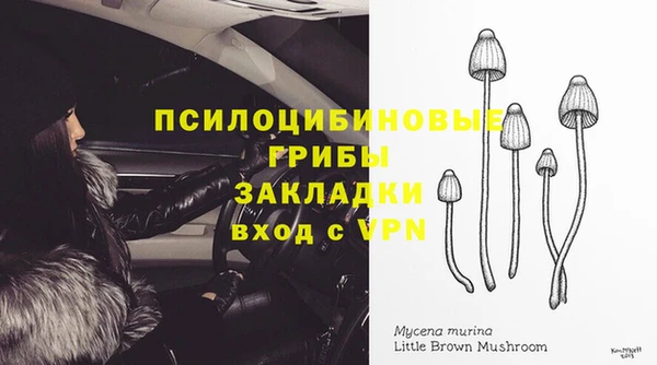 тгк Верея