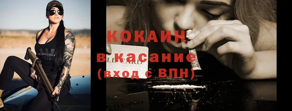 мдпв Верхний Тагил