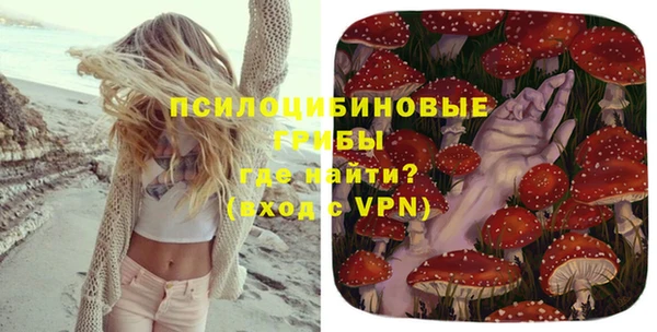тгк Верея