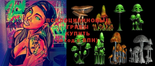альфа пвп Верхнеуральск