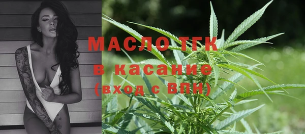 мдпв Верхний Тагил